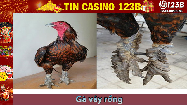 Gà vảy rồng là gì - Giống gà huyền thoại của Việt Nam - 123B